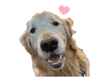 819986941