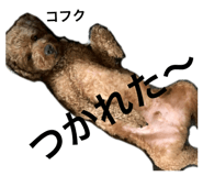 819990021