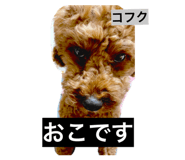 819990037