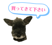 820016599