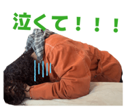 820021510