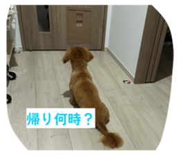 820026356