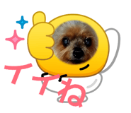 820031269