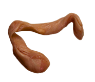 820062197