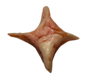 820062224