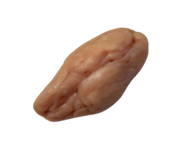 820062231