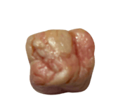 820062232