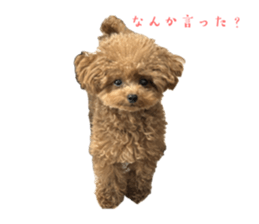 820067313