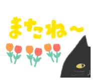 820101560
