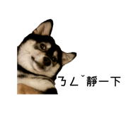 820102315