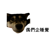 820102325