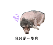820111861