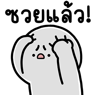 ลายที่ 11
