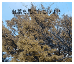 820136164
