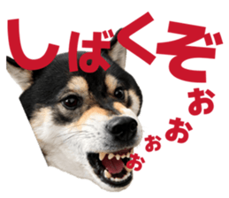 820211852
