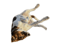 820218980