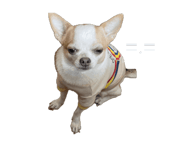 820219266
