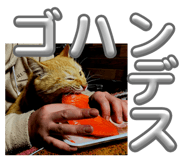 820260018