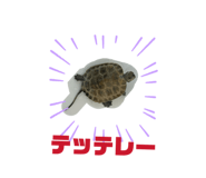 820308906