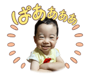 820314429