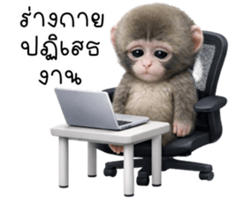 ลายที่ 7