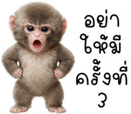 ลายที่ 9