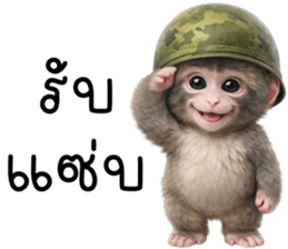 ลายที่ 13