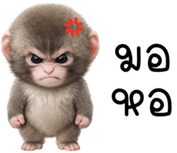 ลายที่ 15