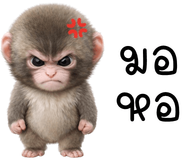 ลายที่ 8