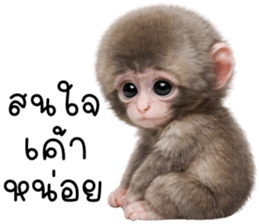 ลายที่ 17