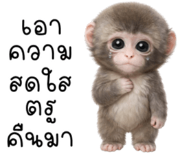 ลายที่ 19