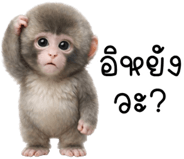 ลายที่ 21