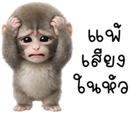 ลายที่ 23