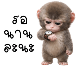 ลายที่ 25