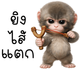 ลายที่ 27