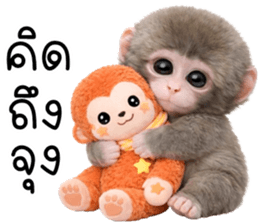 ลายที่ 31