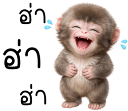 ลายที่ 33