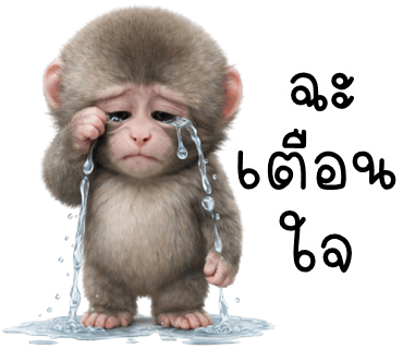 ลายที่ 18
