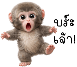 ลายที่ 37