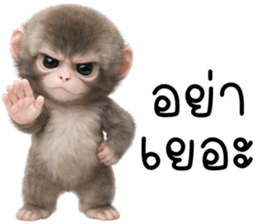 ลายที่ 39