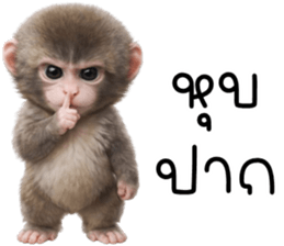 ลายที่ 41