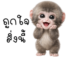 ลายที่ 43