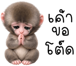 ลายที่ 47