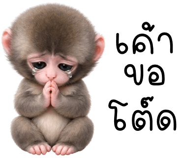 ลายที่ 24
