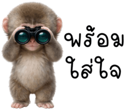 ลายที่ 51