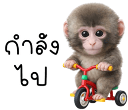 ลายที่ 53