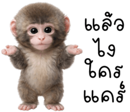 ลายที่ 55