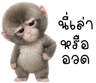 ลายที่ 29