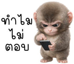 ลายที่ 61