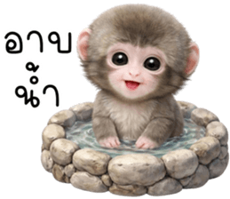 ลายที่ 63